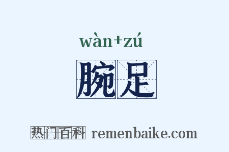 腕足是什么意思的图片